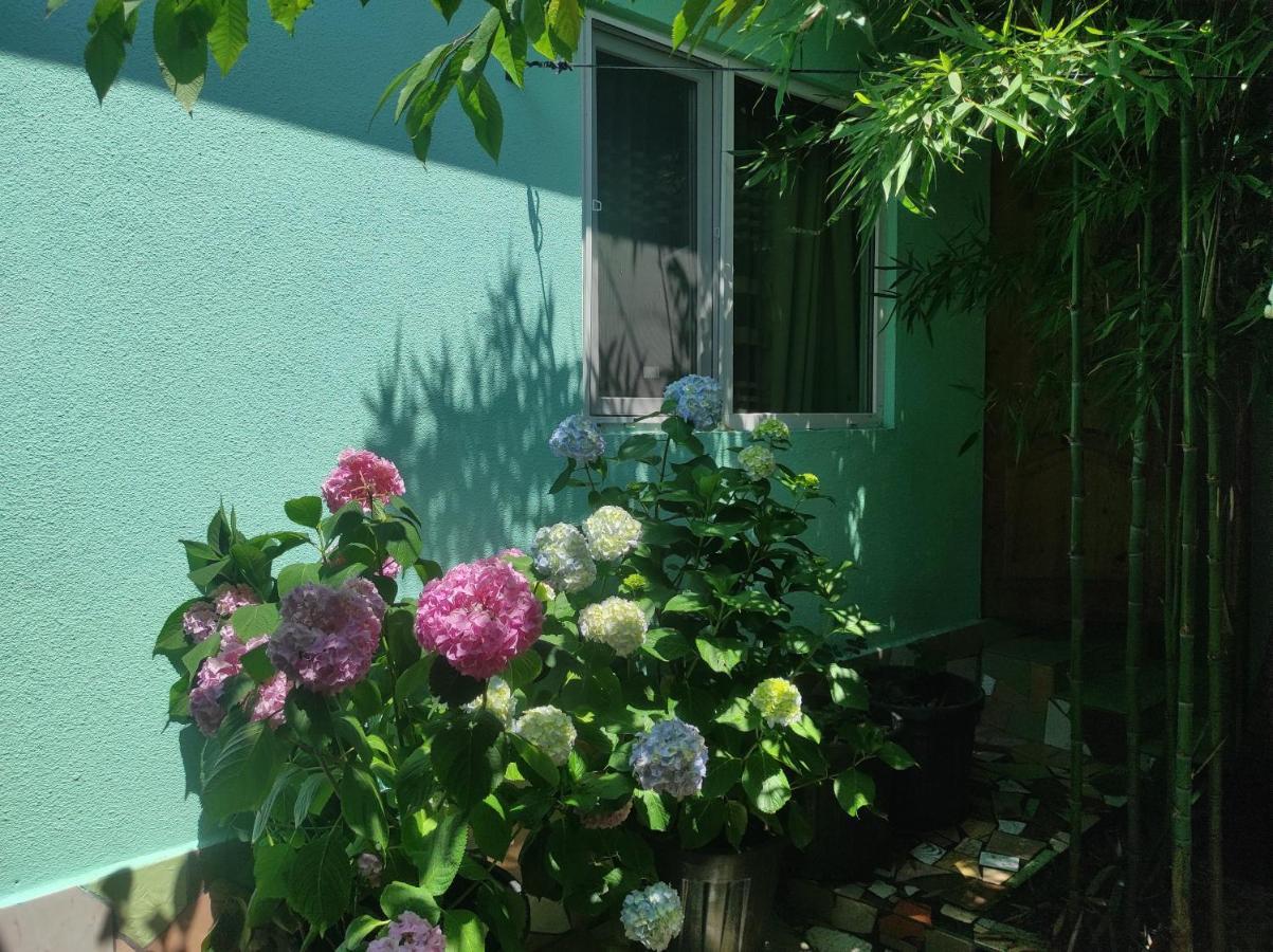 Hotel Гостевой Дом Ирина Sochumi Exterior foto